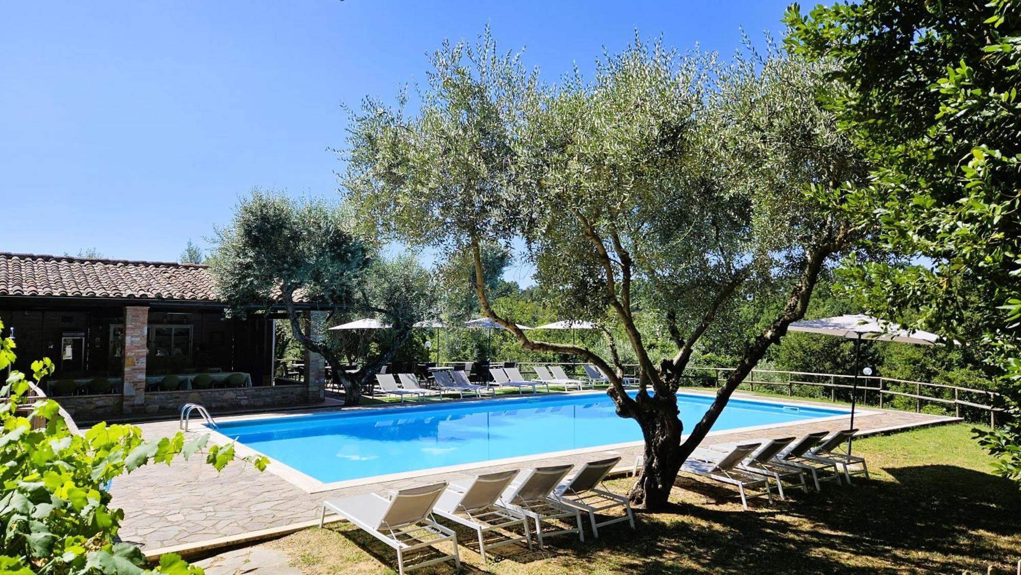 Appartement Pian Della Bandina à Città della Pieve Extérieur photo