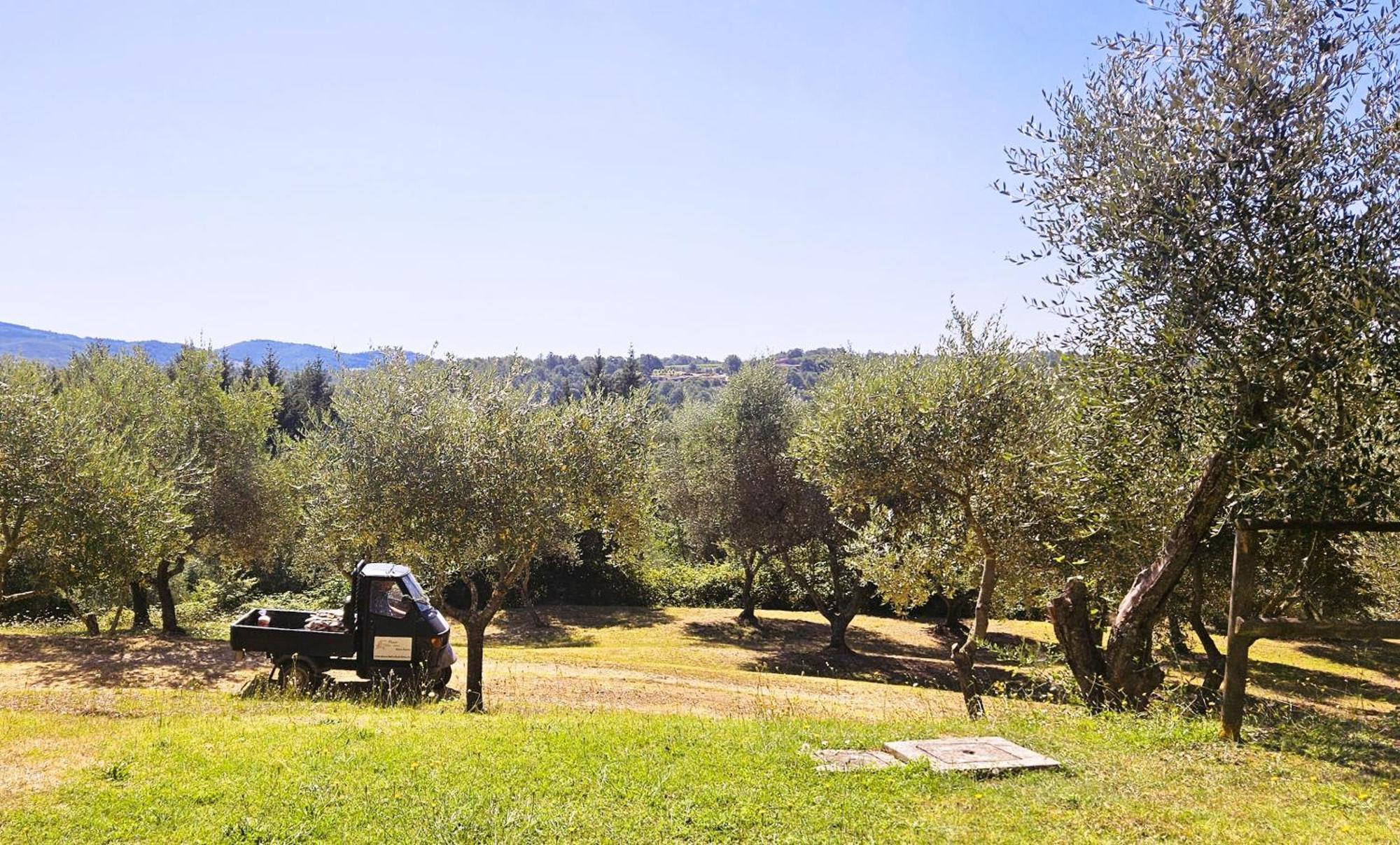 Appartement Pian Della Bandina à Città della Pieve Extérieur photo
